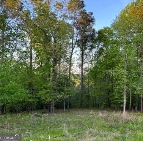 1628 Alcovy Ridge Crossing XING Loganville, GA 30052