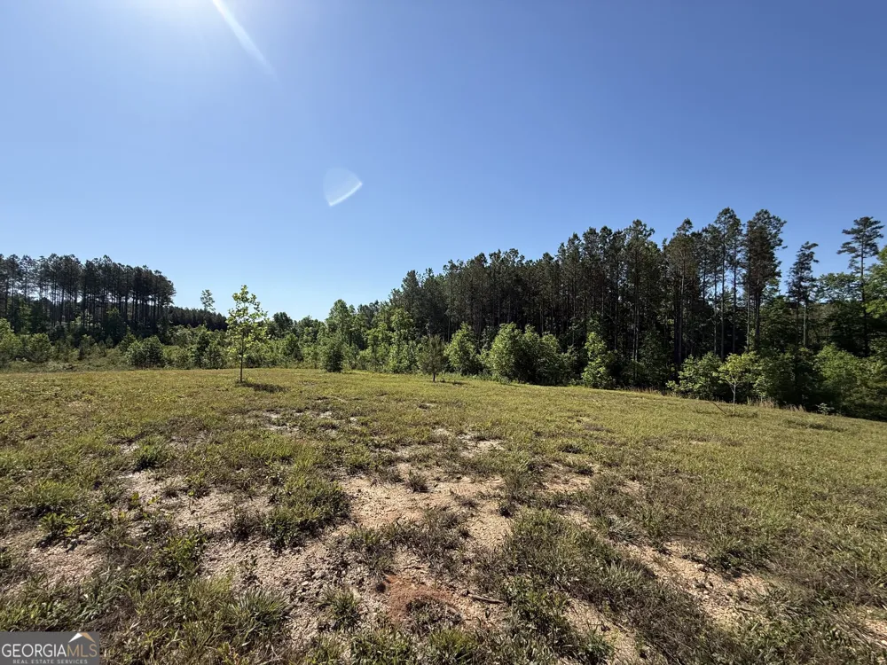 1185 County Road 402 Fruithurst, AL 36262