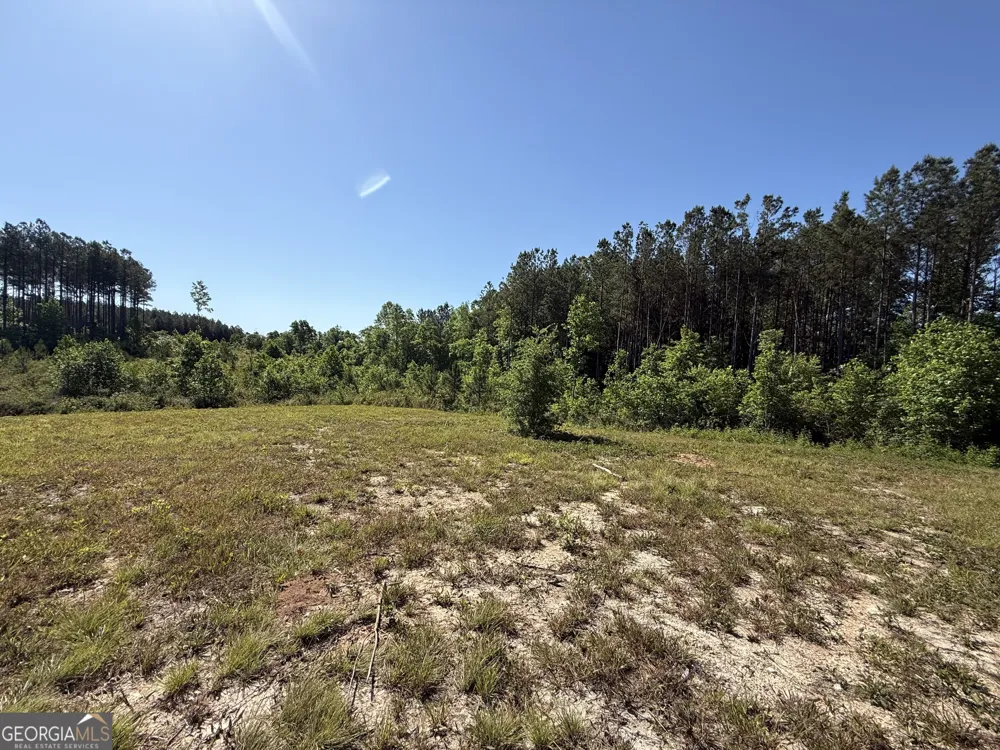 1185 County Road 402 Fruithurst, AL 36262