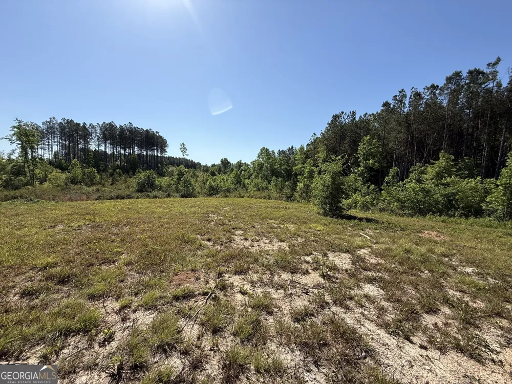 1185 County Road 402 Fruithurst, AL 36262