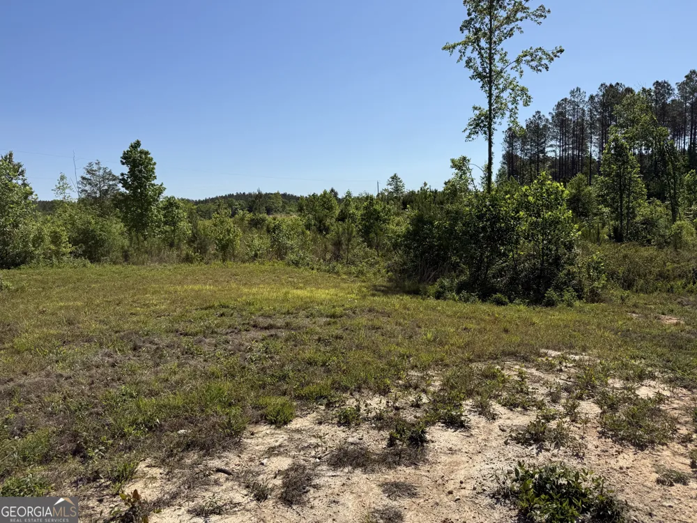 1185 County Road 402 Fruithurst, AL 36262