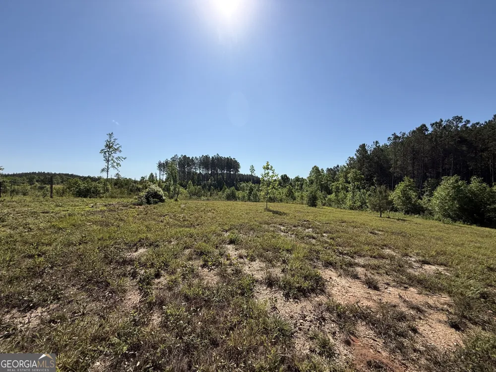 1185 County Road 402 Fruithurst, AL 36262