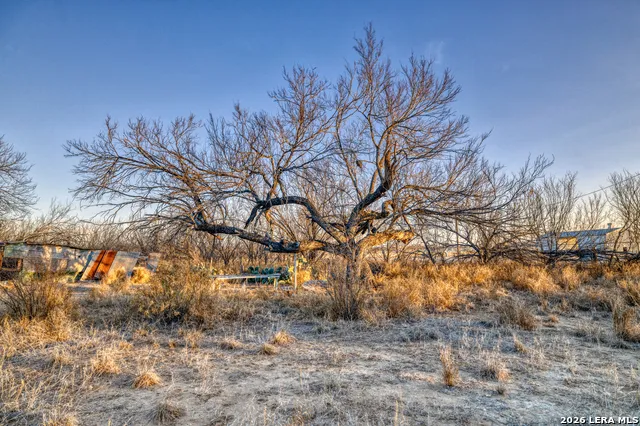 214 Cox Lane Carrizo Springs, TX 78834