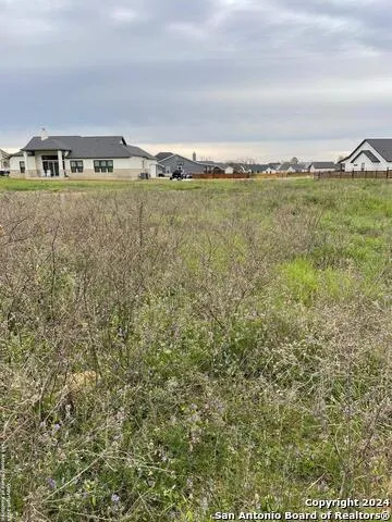 116 BAYBERRY CT La Vernia, TX 78121