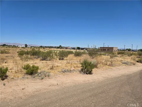 Adams Avenue