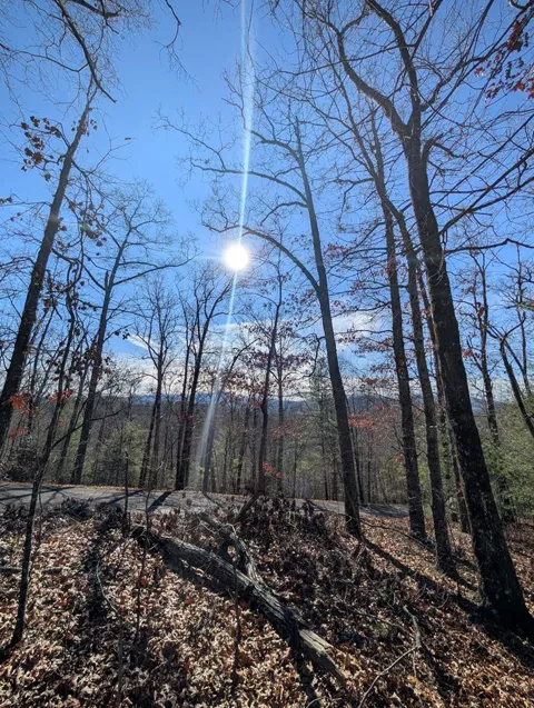 Lot 31 Tower Falls Lane