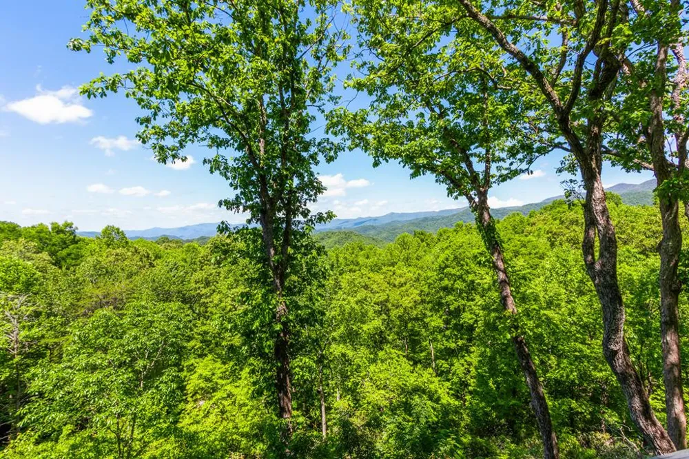 175 Pine Ridge Drive Andrews, NC 28901