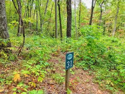 Lot 31 Skyview Trail
