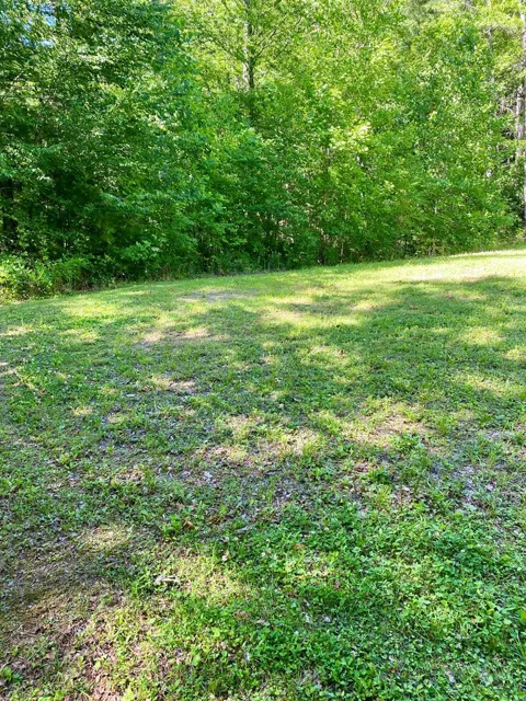 00 Deer Run