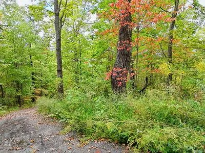 Lot 23 Skyview