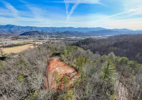 430 Live Oak Terrace