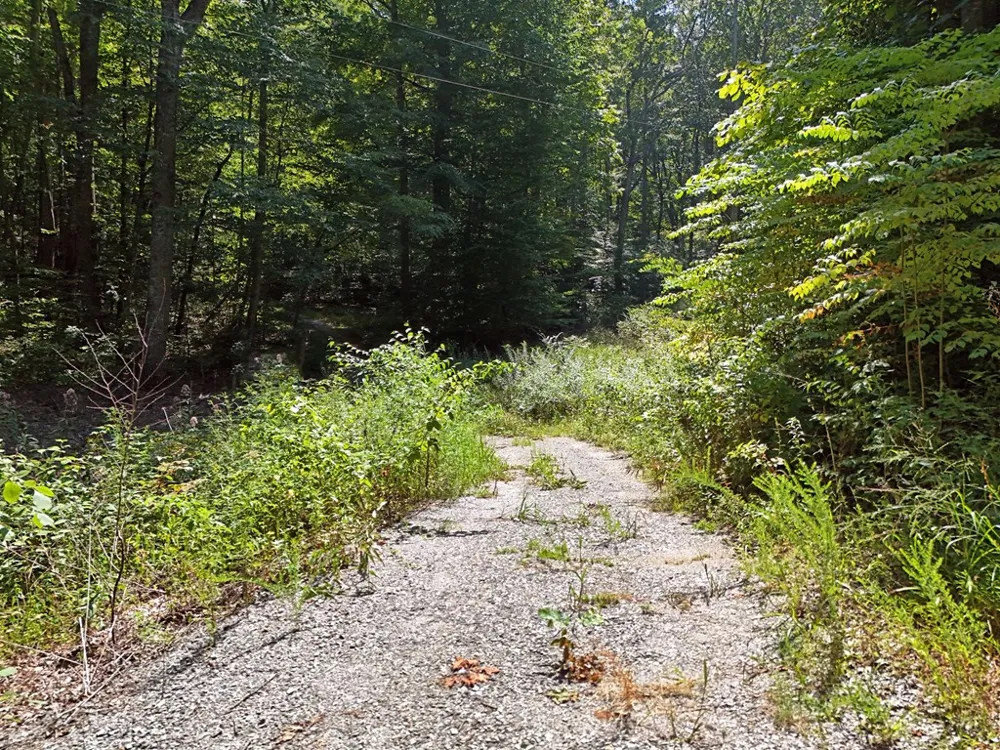 145 Acre Bell Hiawassee, GA 30546