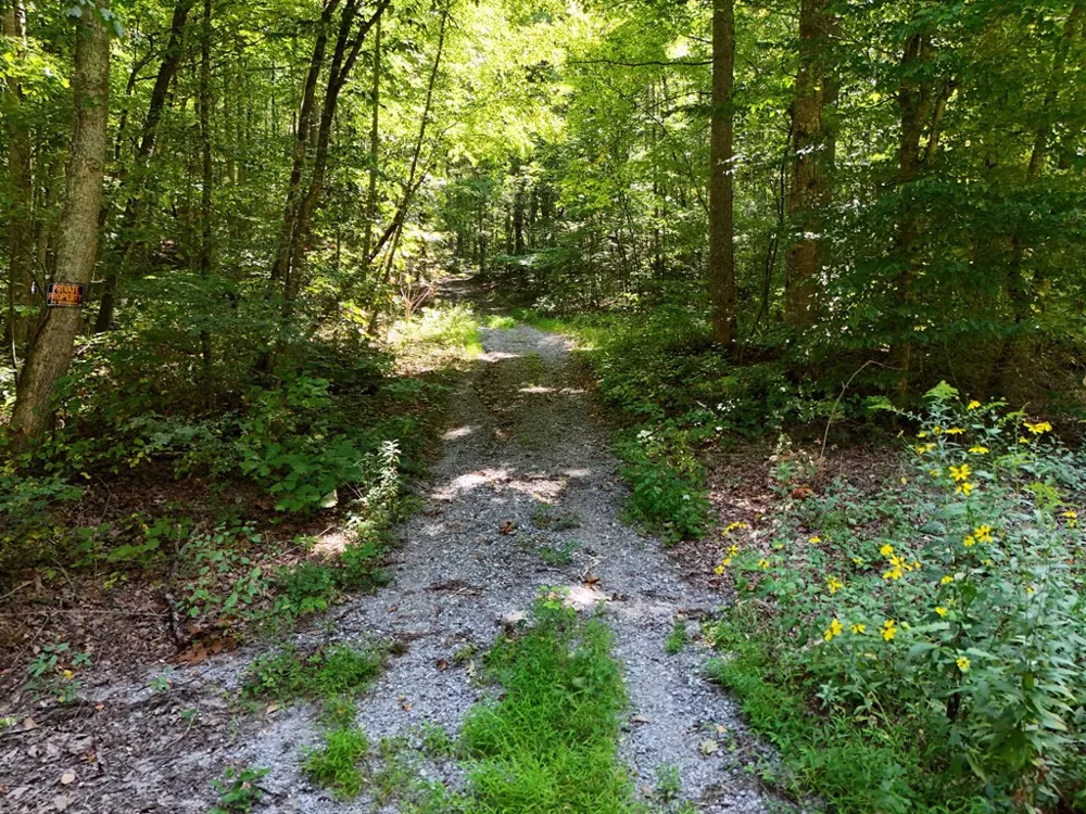 145 Acre Bell Hiawassee, GA 30546