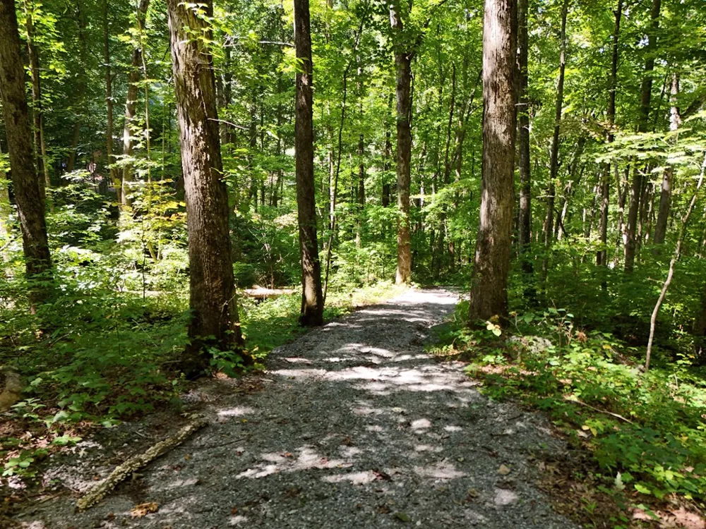 145 Acre Bell Hiawassee, GA 30546