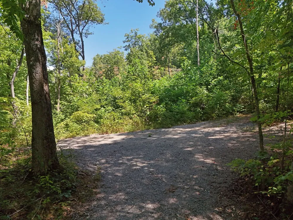 145 Acre Bell Hiawassee, GA 30546