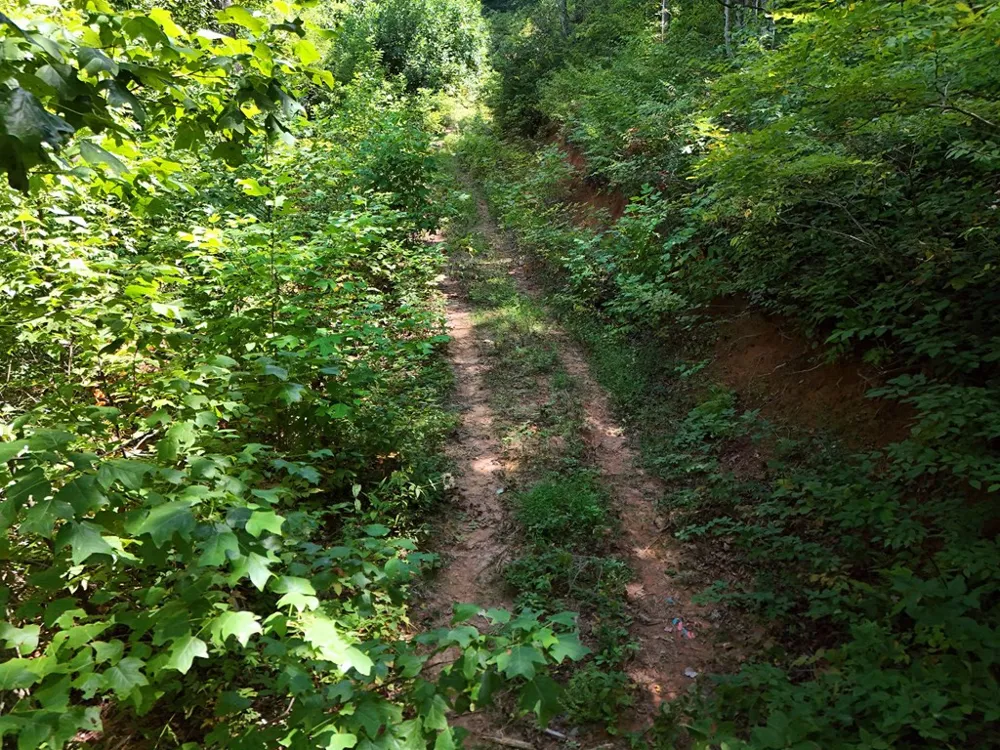 145 Acre Bell Hiawassee, GA 30546