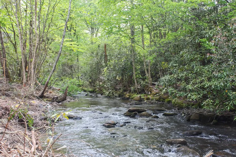795 Porterfield Gap Road Robbinsville, NC 28771