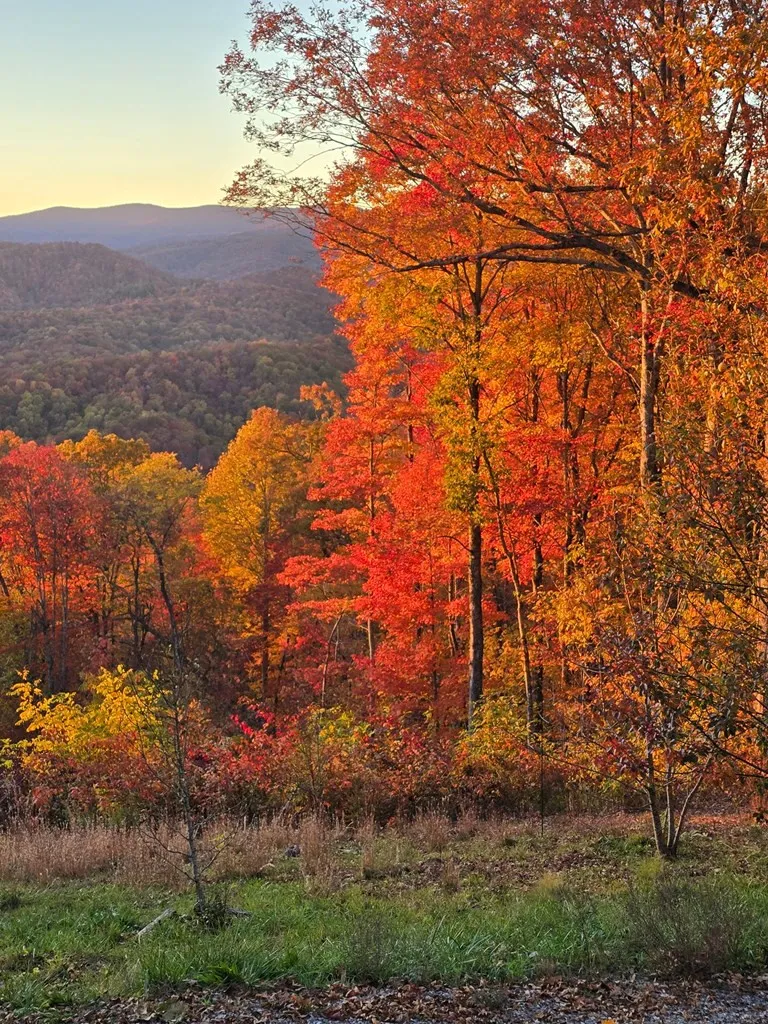 795 Porterfield Gap Road Robbinsville, NC 28771