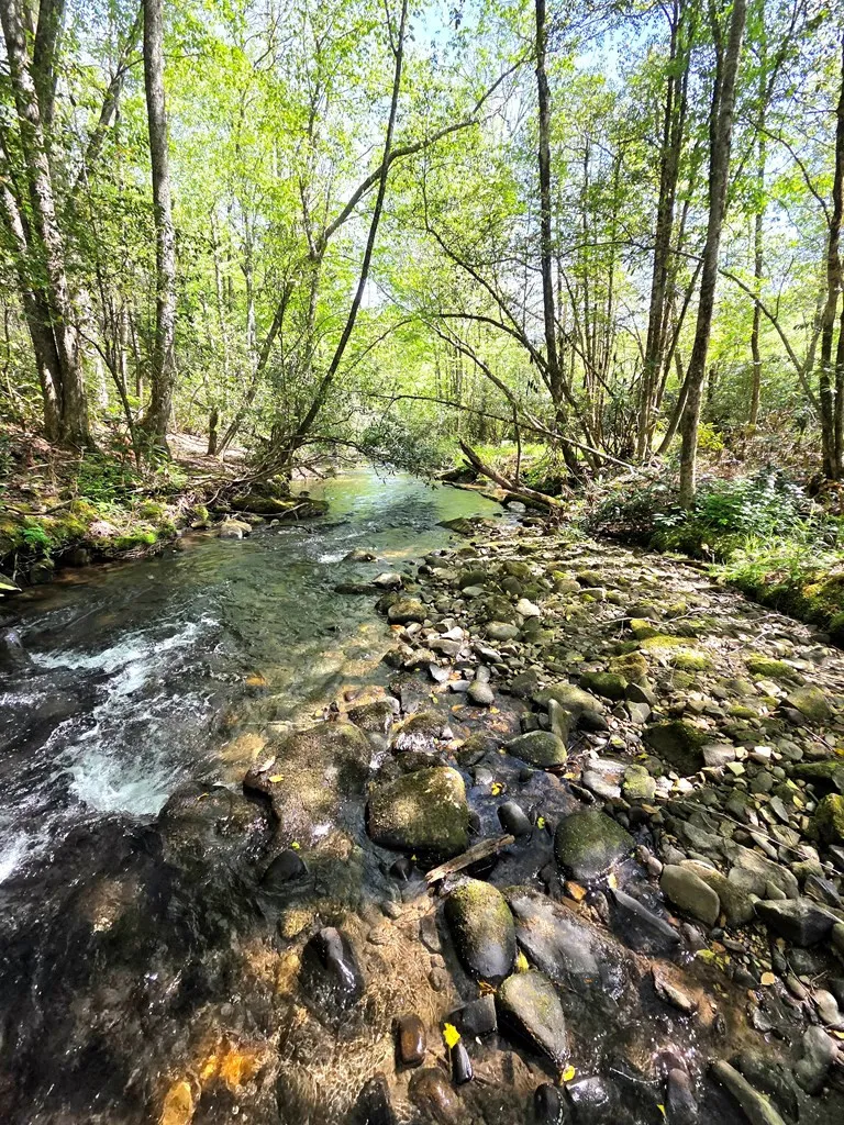 795 Porterfield Gap Road Robbinsville, NC 28771