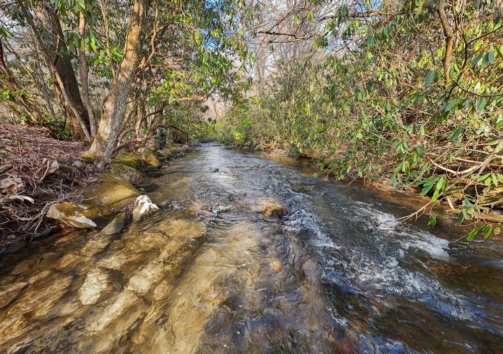 795 Porterfield Gap Road Robbinsville, NC 28771