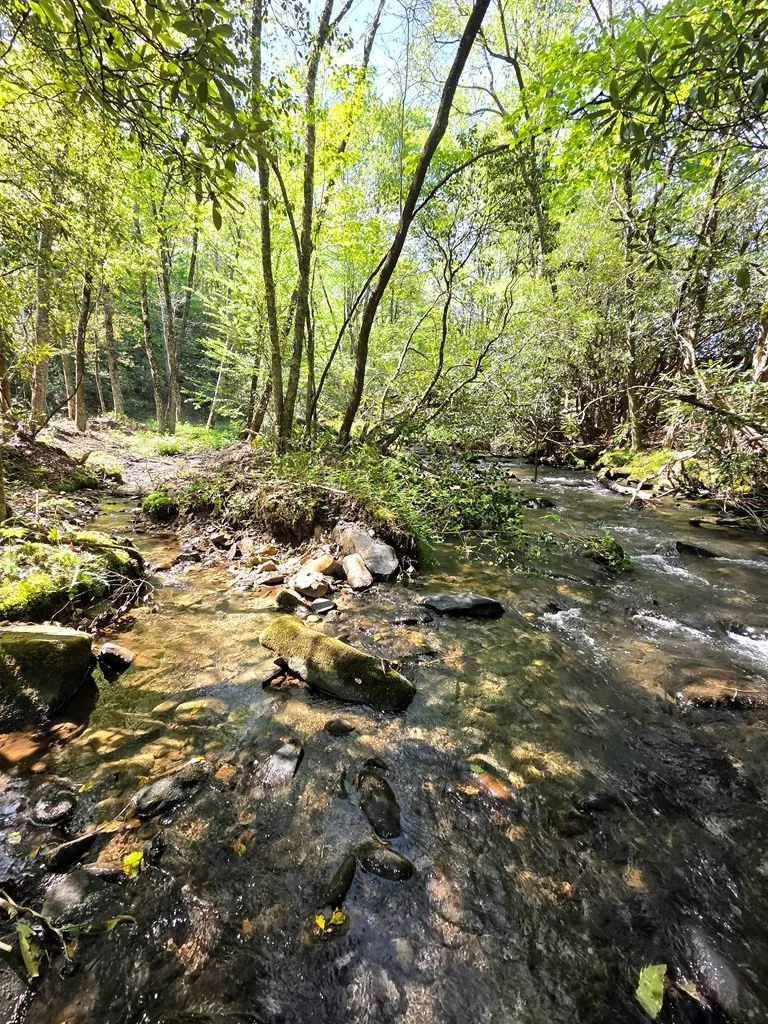 795 Porterfield Gap Road Robbinsville, NC 28771
