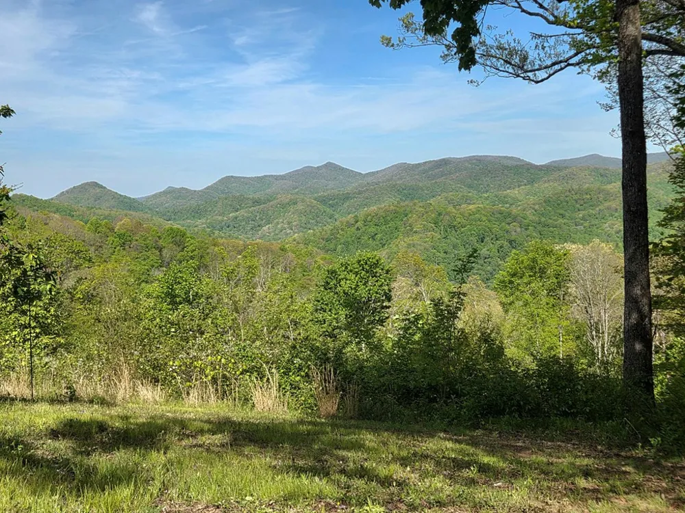 795 Porterfield Gap Road Robbinsville, NC 28771