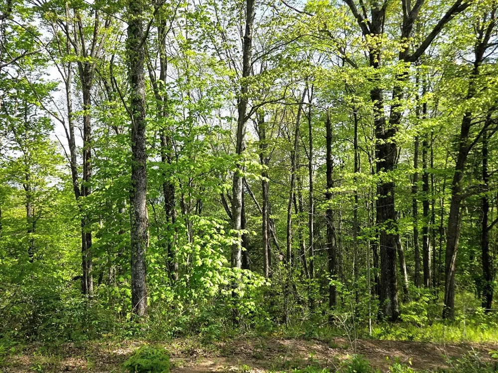 795 Porterfield Gap Road Robbinsville, NC 28771