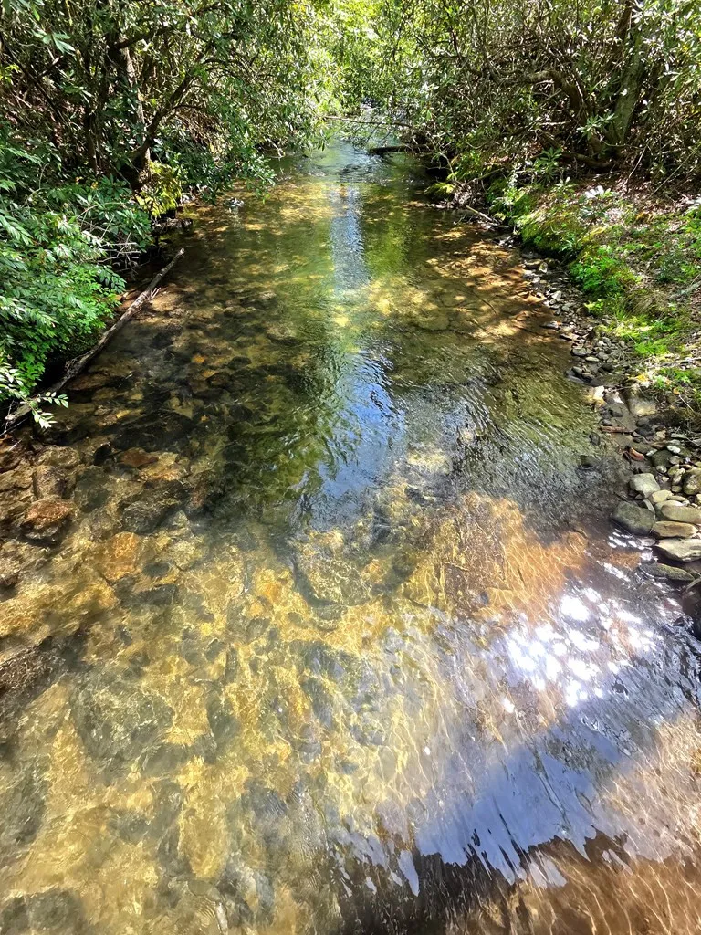 795 Porterfield Gap Road Robbinsville, NC 28771