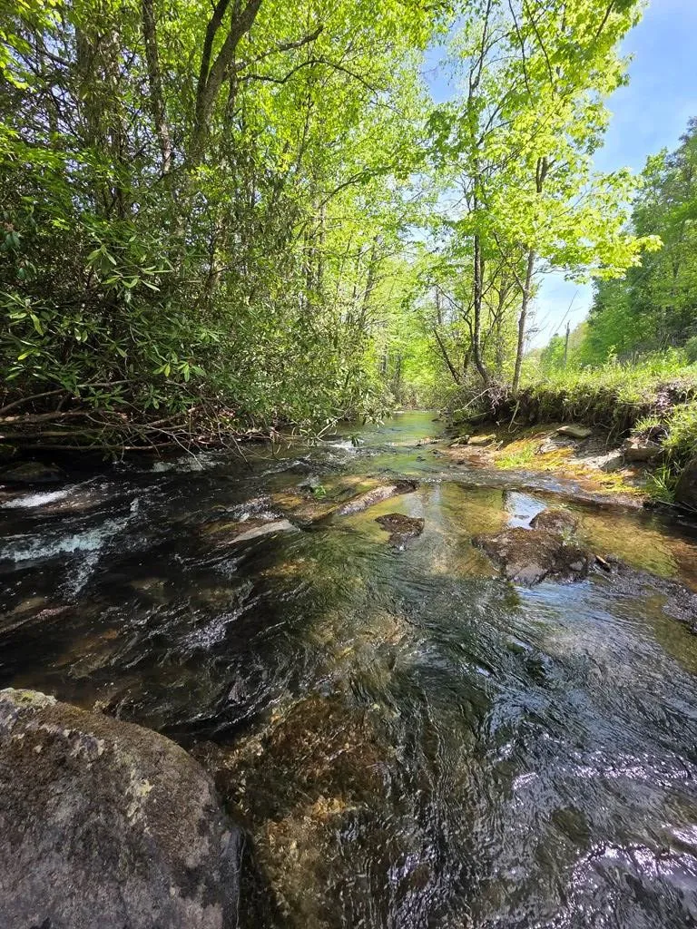 795 Porterfield Gap Road Robbinsville, NC 28771