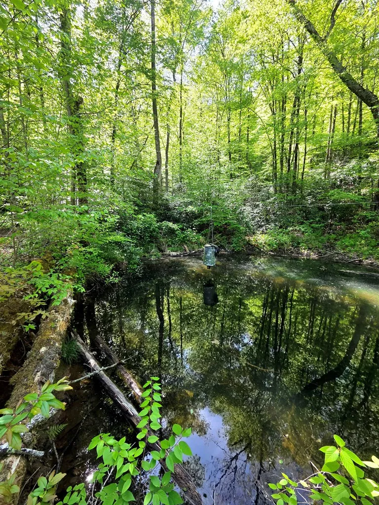 795 Porterfield Gap Road Robbinsville, NC 28771