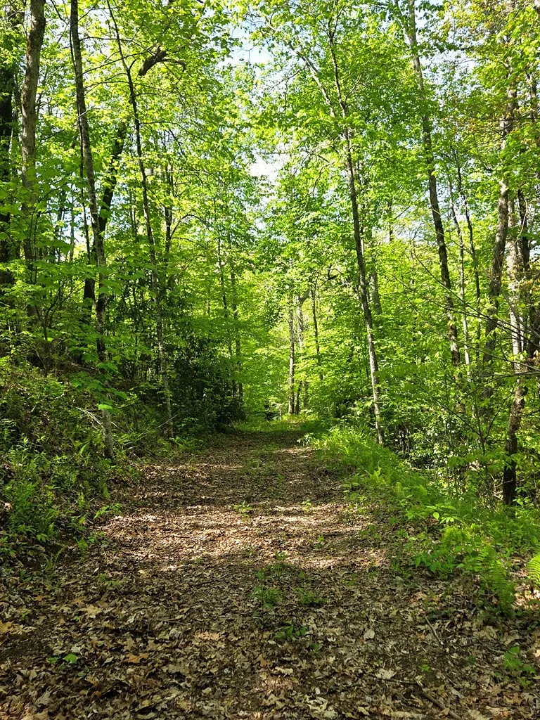 795 Porterfield Gap Road Robbinsville, NC 28771