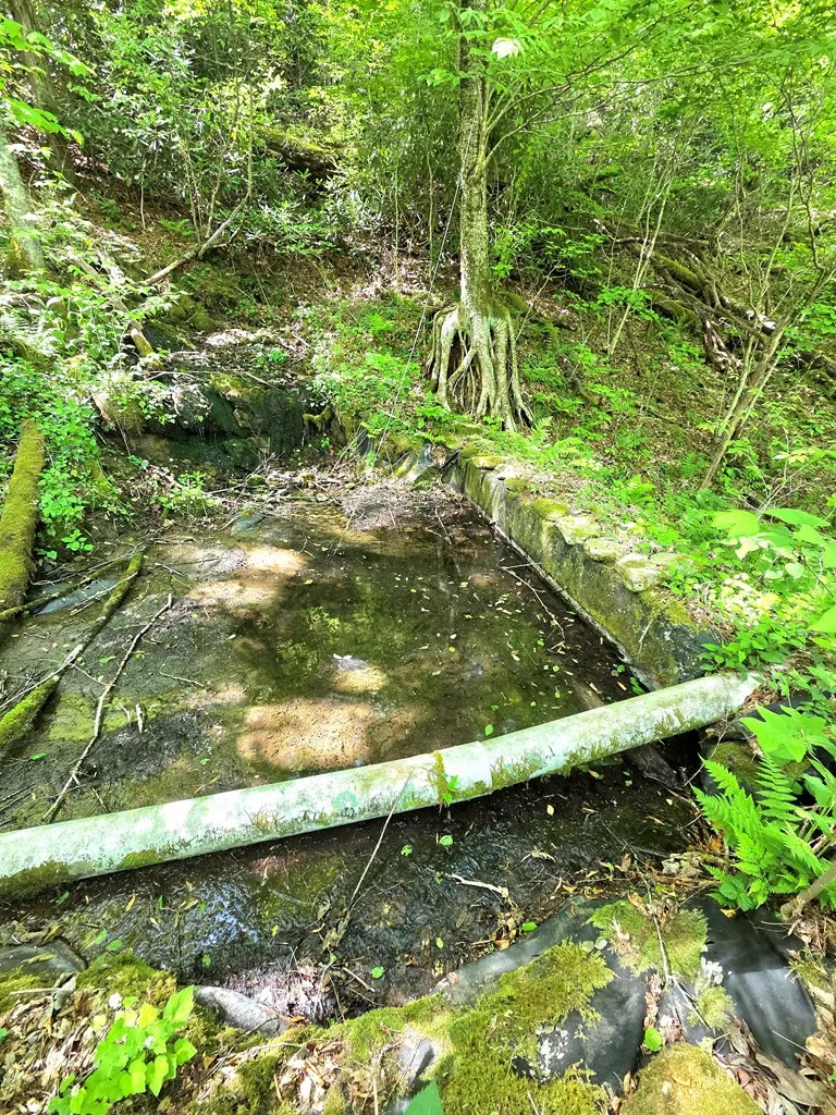 795 Porterfield Gap Road Robbinsville, NC 28771