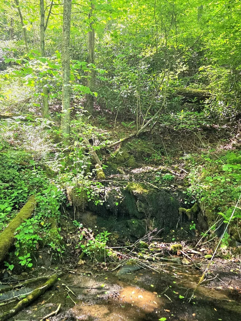 795 Porterfield Gap Road Robbinsville, NC 28771