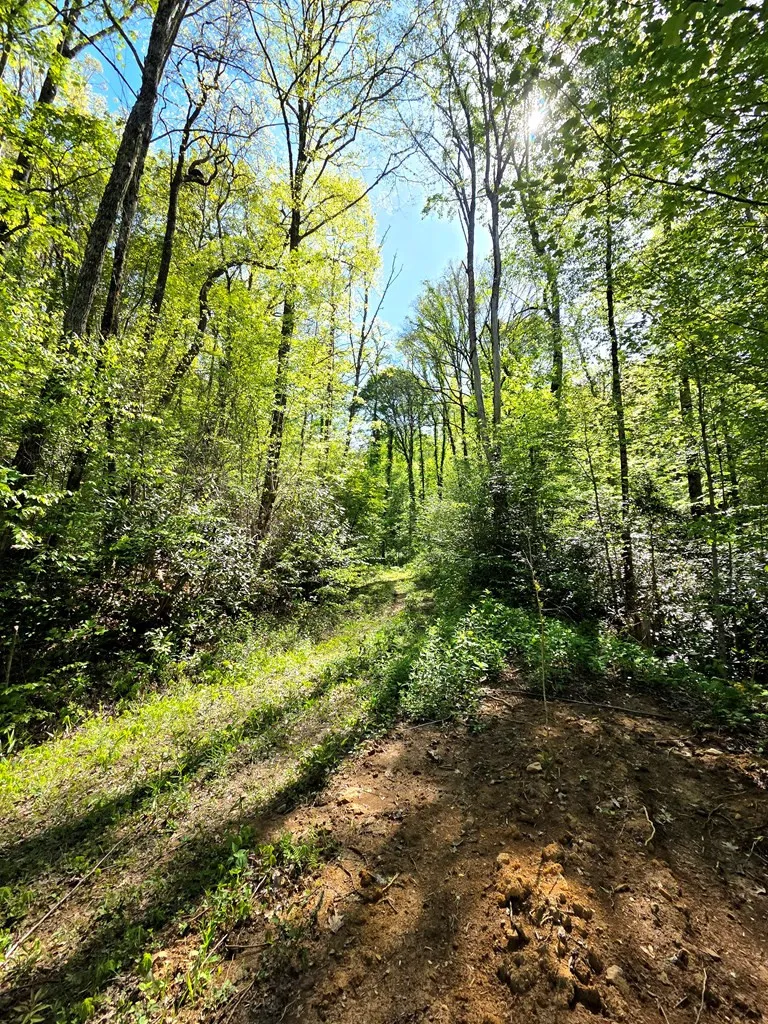 795 Porterfield Gap Road Robbinsville, NC 28771