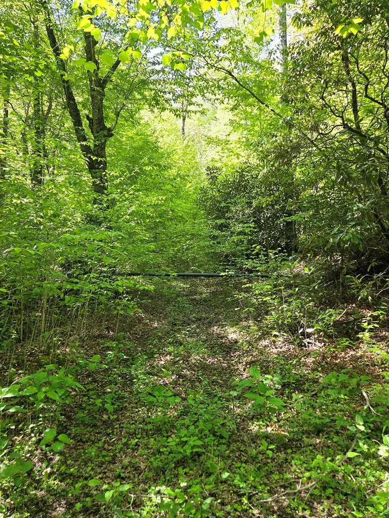 795 Porterfield Gap Road Robbinsville, NC 28771