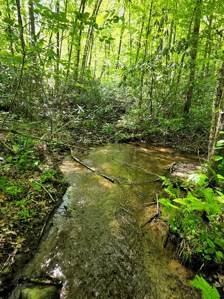 795 Porterfield Gap Road Robbinsville, NC 28771
