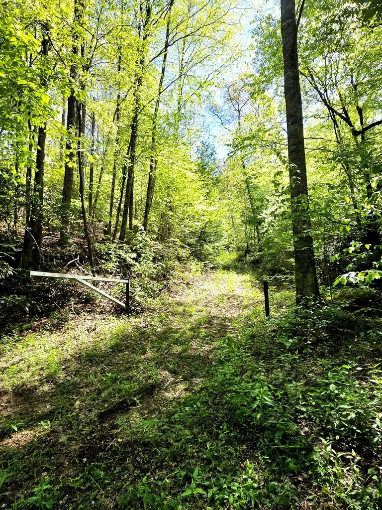 795 Porterfield Gap Road Robbinsville, NC 28771