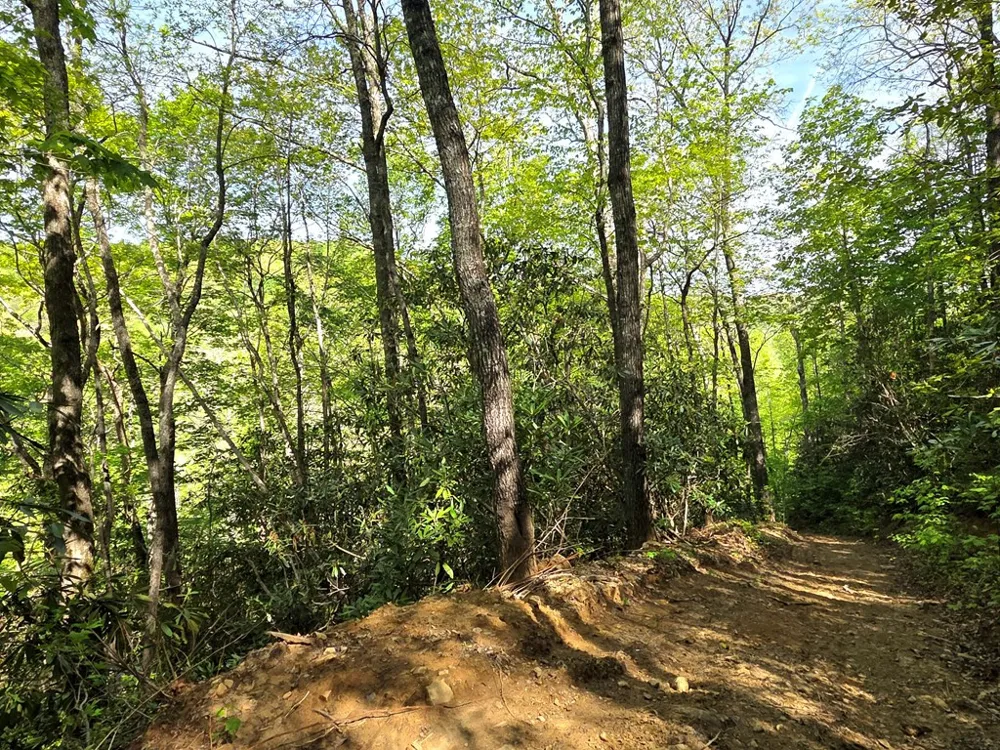 795 Porterfield Gap Road Robbinsville, NC 28771