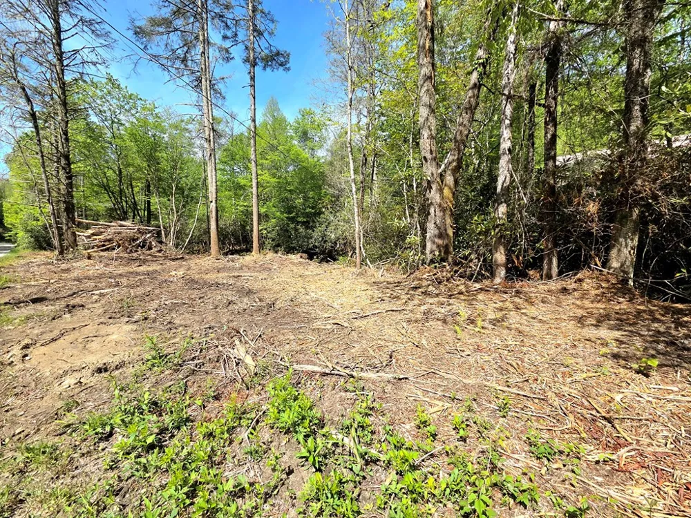 795 Porterfield Gap Road Robbinsville, NC 28771