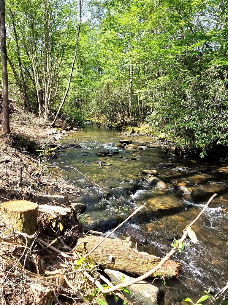 795 Porterfield Gap Road Robbinsville, NC 28771