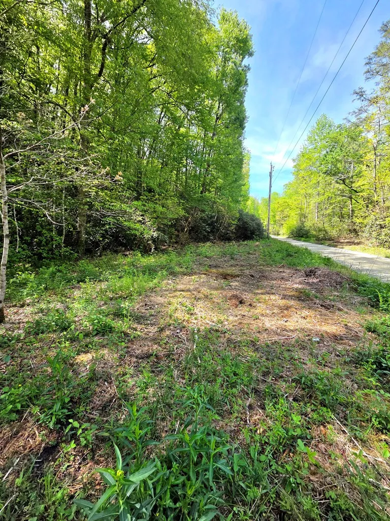 795 Porterfield Gap Road Robbinsville, NC 28771
