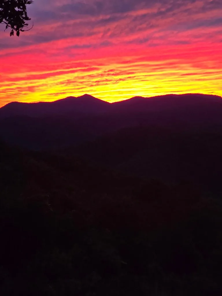 795 Porterfield Gap Road Robbinsville, NC 28771