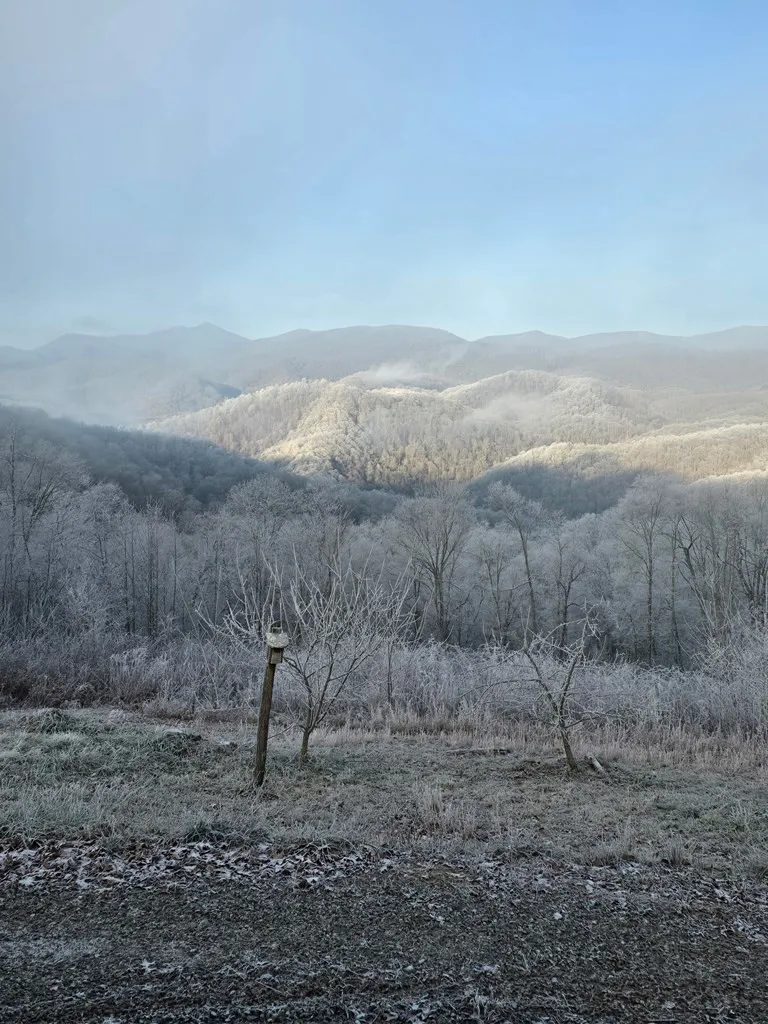 795 Porterfield Gap Road Robbinsville, NC 28771