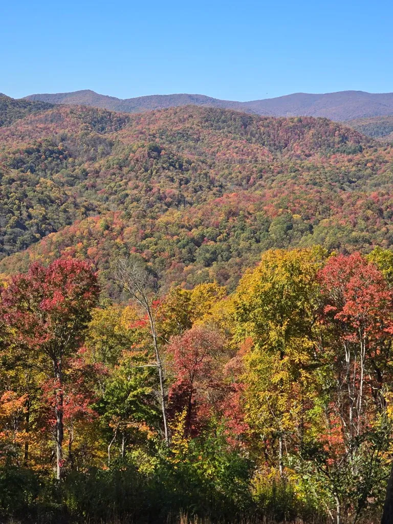 795 Porterfield Gap Road Robbinsville, NC 28771