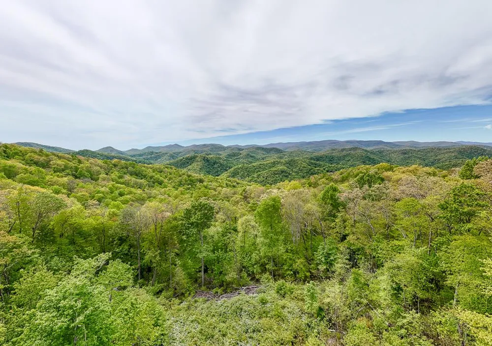 795 Porterfield Gap Road Robbinsville, NC 28771
