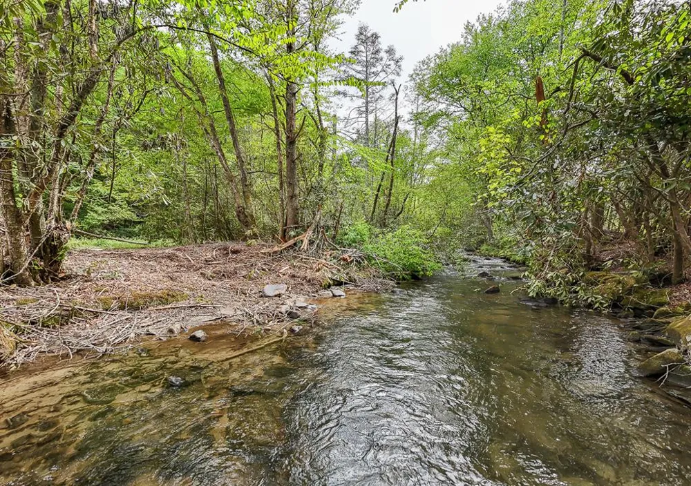 795 Porterfield Gap Road Robbinsville, NC 28771