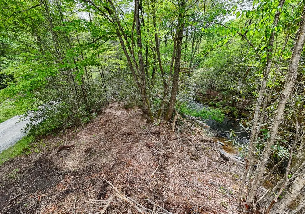 795 Porterfield Gap Road Robbinsville, NC 28771