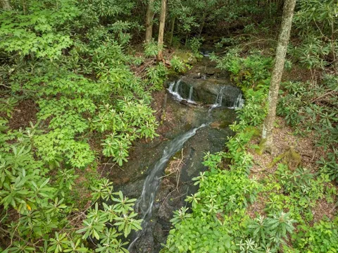 00 Walnut Cove Branch