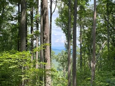 Lot 1 High Country Lane Morganton, GA 30560