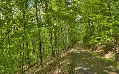 Lot 1 High Country Lane Morganton, GA 30560